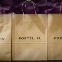 Fortellis (dev) day Steals the Show in NYC 